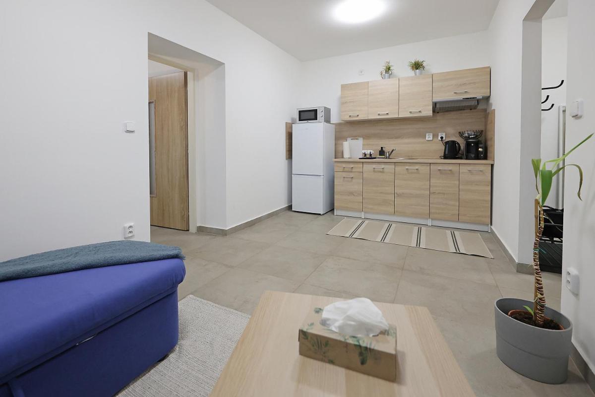 Fara No71 Apart 3 Libice nad Cidlinou Экстерьер фото