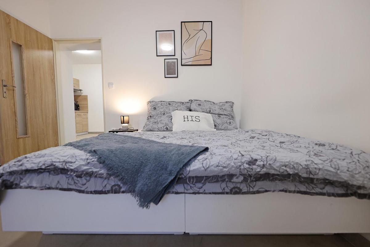 Fara No71 Apart 3 Libice nad Cidlinou Экстерьер фото